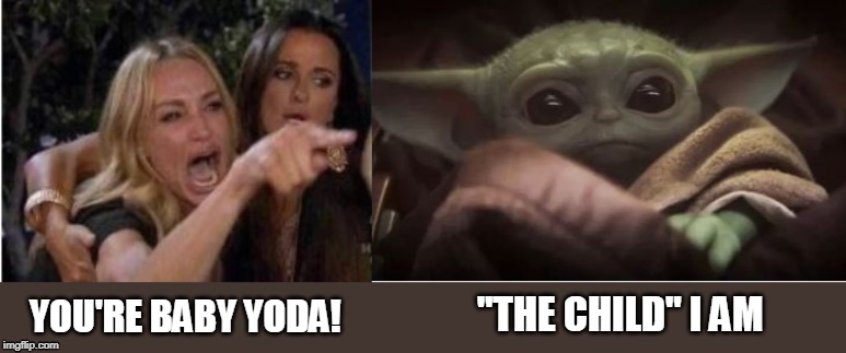 Baby Yoda | "THE CHILD" I AM; YOU'RE BABY YODA! | image tagged in baby yoda,drunk girl | made w/ Imgflip meme maker