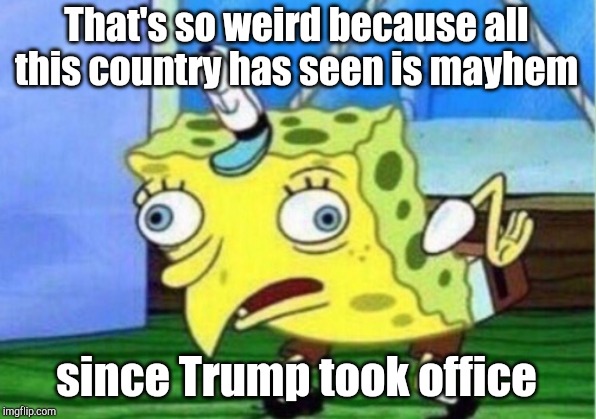 Mocking Spongebob Meme | That's so weird because all this country has seen is mayhem since Trump took office | image tagged in memes,mocking spongebob | made w/ Imgflip meme maker