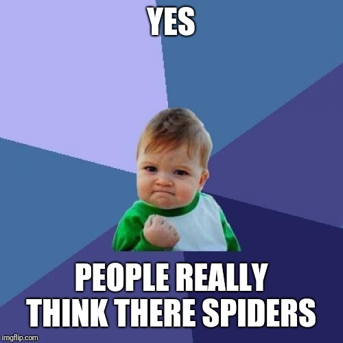 Success Kid Meme | YES PEOPLE REALLY THINK THERE SPIDERS | image tagged in memes,success kid | made w/ Imgflip meme maker