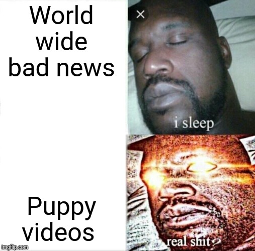 Sleeping Shaq Meme | World wide bad news; Puppy videos | image tagged in memes,sleeping shaq,lol | made w/ Imgflip meme maker