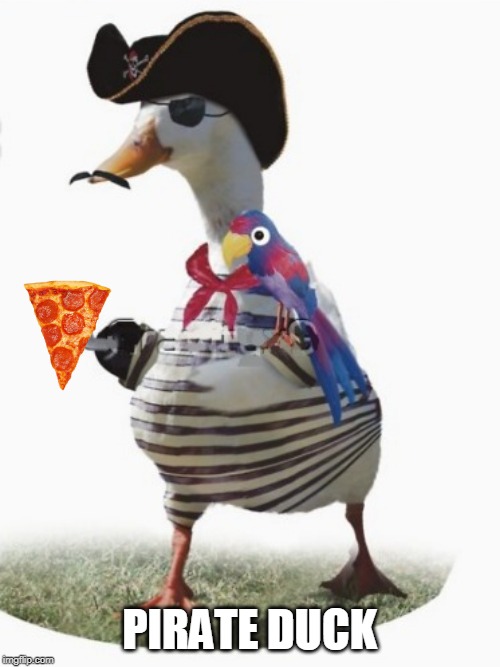 PIRATE DUCK | made w/ Imgflip meme maker