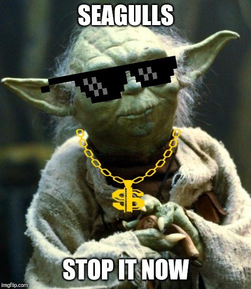 Star Wars Yoda Meme | SEAGULLS; STOP IT NOW | image tagged in memes,star wars yoda | made w/ Imgflip meme maker