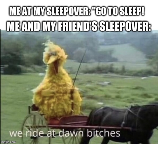 We ride at dawn bitches | ME AND MY FRIEND'S SLEEPOVER:; ME AT MY SLEEPOVER: "GO TO SLEEP! | image tagged in we ride at dawn bitches | made w/ Imgflip meme maker