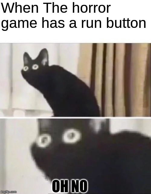 Oh No Black Cat | When The horror game has a run button; OH NO | image tagged in oh no black cat | made w/ Imgflip meme maker