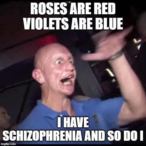 Just a Lil Crazy | ROSES ARE RED VIOLETS ARE BLUE; I HAVE SCHIZOPHRENIA AND SO DO I | image tagged in drugs crazy guy | made w/ Imgflip meme maker