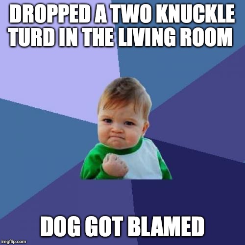 2knuckle | DROPPED A TWO KNUCKLE
TURD IN THE LIVING ROOM; DOG GOT BLAMED | image tagged in memes,success kid,funny,animals,futurama fry,spongebob | made w/ Imgflip meme maker