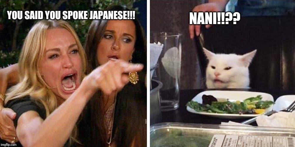Smudge the cat | YOU SAID YOU SPOKE JAPANESE!!! NANI!!?? | image tagged in smudge the cat | made w/ Imgflip meme maker