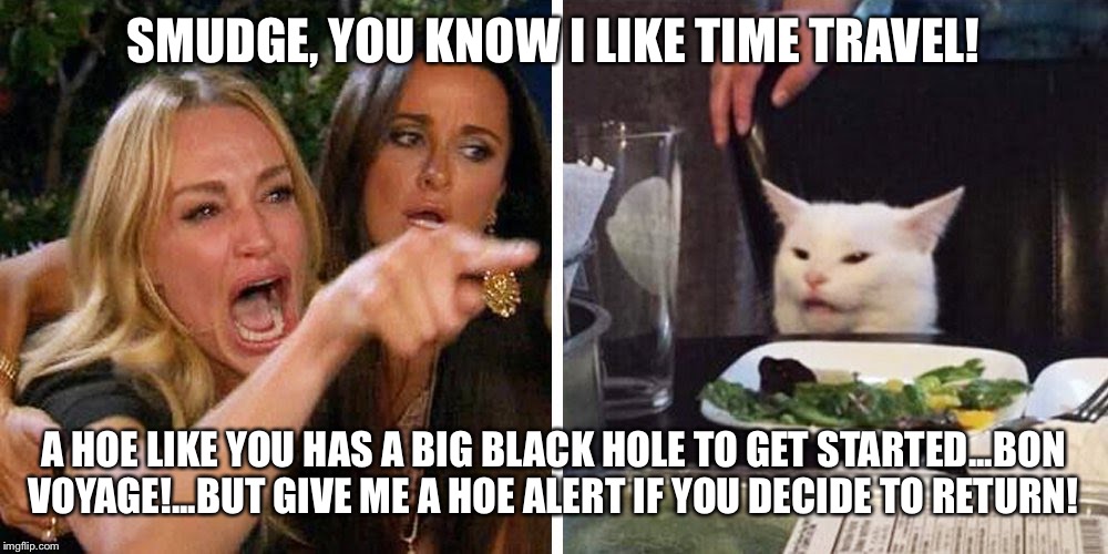 Smudge the cat | SMUDGE, YOU KNOW I LIKE TIME TRAVEL! A HOE LIKE YOU HAS A BIG BLACK HOLE TO GET STARTED...BON VOYAGE!...BUT GIVE ME A HOE ALERT IF YOU DECIDE TO RETURN! | image tagged in smudge the cat | made w/ Imgflip meme maker
