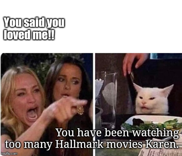 Lady screams at cat | You said you loved me!! You have been watching too many Hallmark movies Karen. | image tagged in lady screams at cat | made w/ Imgflip meme maker