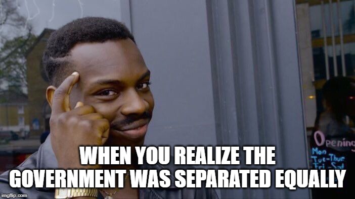 Roll Safe Think About It | WHEN YOU REALIZE THE GOVERNMENT WAS SEPARATED EQUALLY | image tagged in memes,roll safe think about it | made w/ Imgflip meme maker