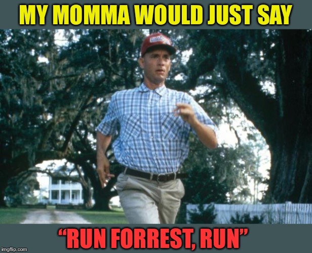 run forrest run | MY MOMMA WOULD JUST SAY “RUN FORREST, RUN” | image tagged in run forrest run | made w/ Imgflip meme maker