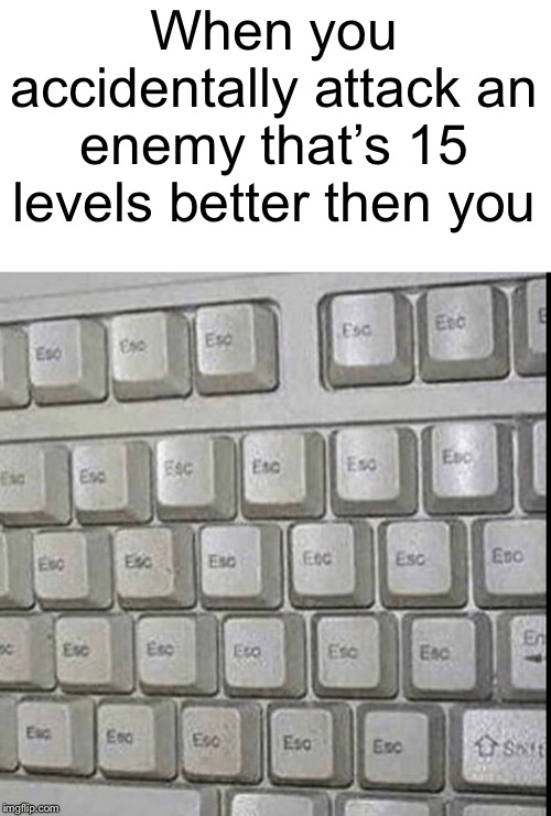 Holy frick I’m gonna die | When you accidentally attack an enemy that’s 15 levels better then you | image tagged in escape | made w/ Imgflip meme maker