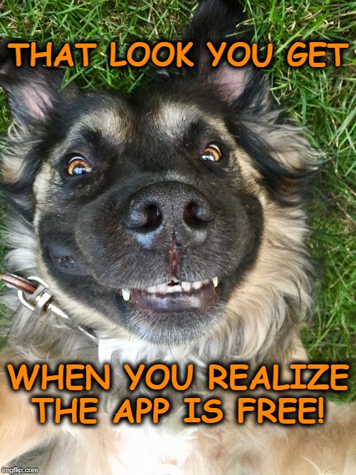 Oso Meme | THAT LOOK YOU GET; WHEN YOU REALIZE THE APP IS FREE! | image tagged in free apps | made w/ Imgflip meme maker