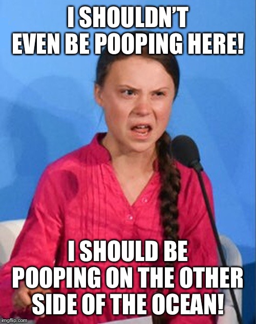 Greta Thunberg how dare you | I SHOULDN’T EVEN BE POOPING HERE! I SHOULD BE POOPING ON THE OTHER SIDE OF THE OCEAN! | image tagged in greta thunberg how dare you | made w/ Imgflip meme maker