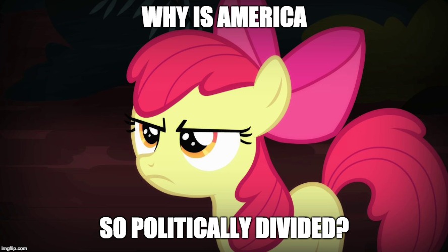 Tell me, how did we get this bad? | WHY IS AMERICA; SO POLITICALLY DIVIDED? | image tagged in angry applebloom,memes,politics | made w/ Imgflip meme maker