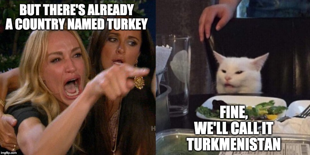 Even Old New York Was Once New Amsterdam | BUT THERE'S ALREADY A COUNTRY NAMED TURKEY; FINE, WE'LL CALL IT TURKMENISTAN | image tagged in woman yelling at cat,turkey,cat,cats | made w/ Imgflip meme maker