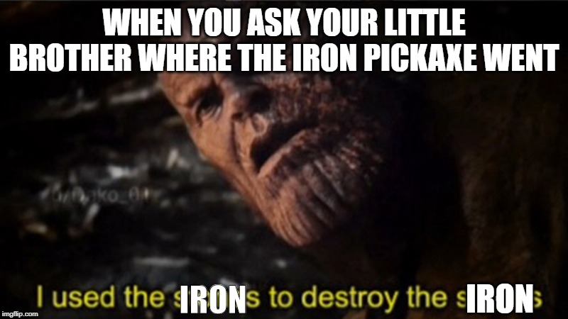 Minecraft brothers are ______ | WHEN YOU ASK YOUR LITTLE BROTHER WHERE THE IRON PICKAXE WENT; IRON; IRON | image tagged in thanos i used the stones to destroy the stones,minecraft,thanos | made w/ Imgflip meme maker