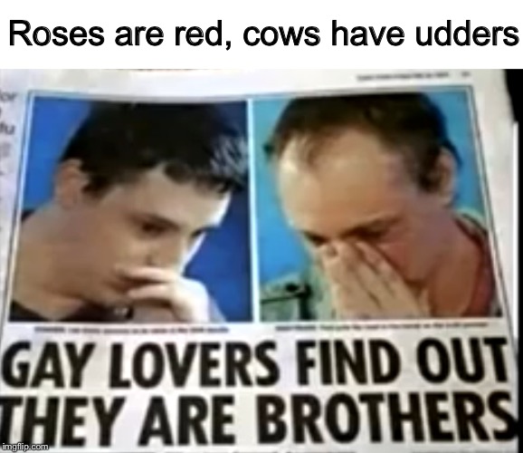 Roses are red, cows have udders | image tagged in blank white template | made w/ Imgflip meme maker