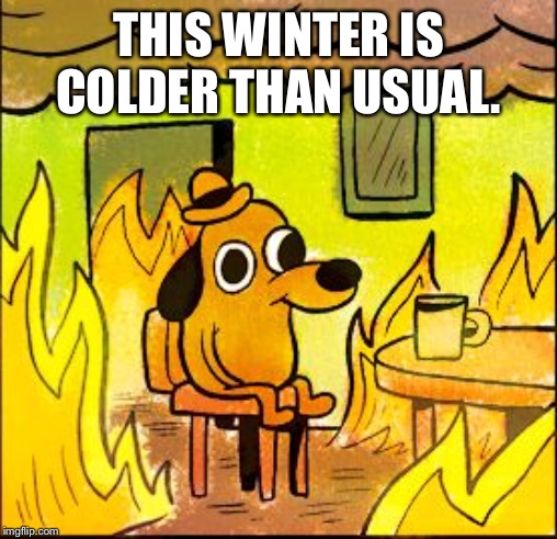 This is fine | THIS WINTER IS COLDER THAN USUAL. | image tagged in this is fine | made w/ Imgflip meme maker