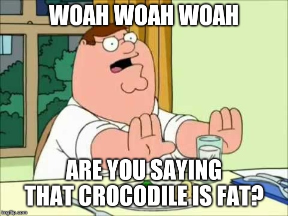 WOAH WOAH WOAH ARE YOU SAYING THAT CROCODILE IS FAT? | made w/ Imgflip meme maker