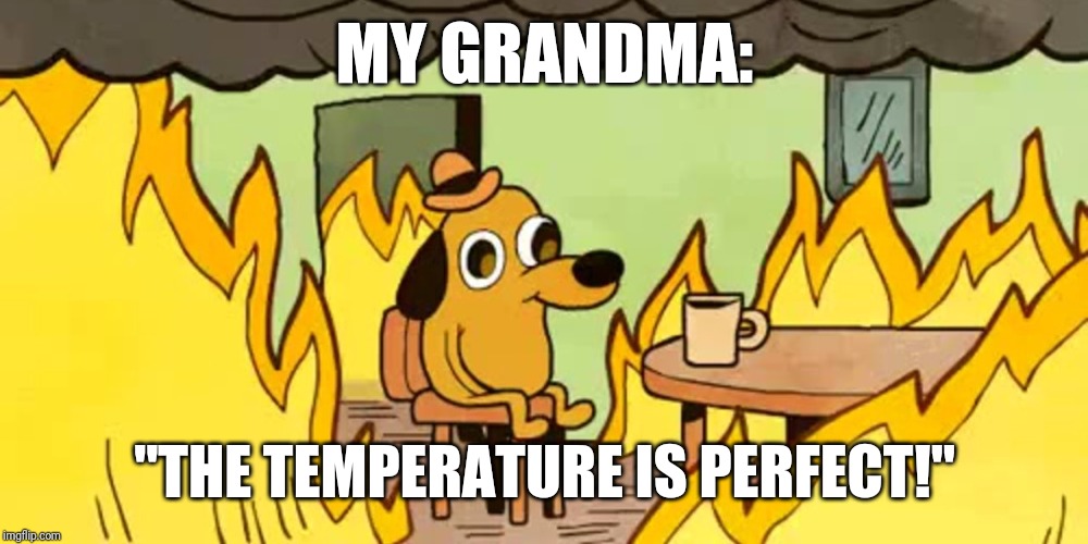 The elderly are always too cold | MY GRANDMA:; "THE TEMPERATURE IS PERFECT!" | image tagged in dog on fire,elderly,too cold,too funny,funny memes | made w/ Imgflip meme maker
