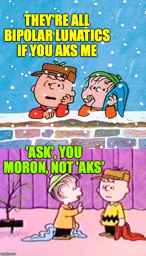 THEY'RE ALL BIPOLAR LUNATICS IF YOU AKS ME 'ASK', YOU MORON, NOT 'AKS' | image tagged in charlie brown and linus | made w/ Imgflip meme maker