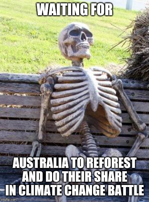 Waiting Skeleton Meme | WAITING FOR AUSTRALIA TO REFOREST AND DO THEIR SHARE IN CLIMATE CHANGE BATTLE | image tagged in memes,waiting skeleton | made w/ Imgflip meme maker