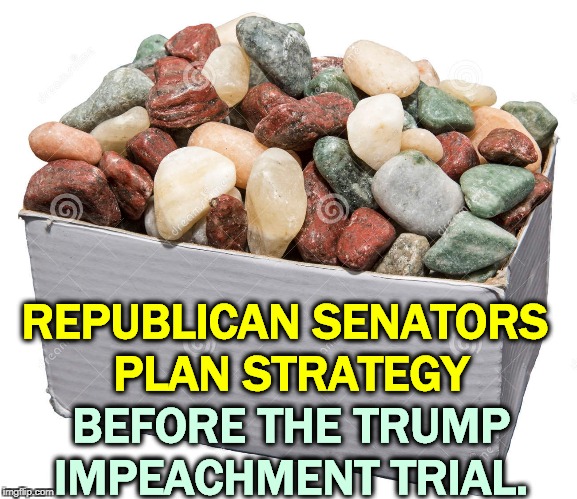 And I'm being generous. | REPUBLICAN SENATORS 
PLAN STRATEGY; BEFORE THE TRUMP IMPEACHMENT TRIAL. | image tagged in trump,republicans,senate,dumb,box,rocks | made w/ Imgflip meme maker