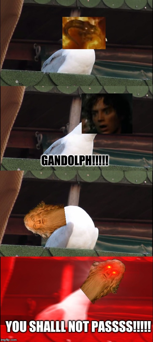 Inhaling Seagull Meme | GANDOLPH!!!!! YOU SHALLL NOT PASSSS!!!!! | image tagged in memes,inhaling seagull | made w/ Imgflip meme maker