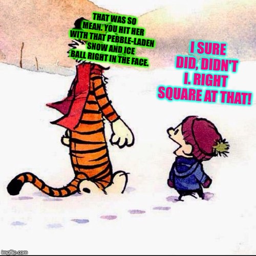 susie derkins calvin and hobbes Blank Meme Template
