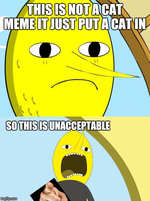 THIS IS NOT A CAT MEME IT JUST PUT A CAT IN SO THIS IS UNACCEPTABLE | image tagged in unacceptable lemongrab,lemongrab | made w/ Imgflip meme maker