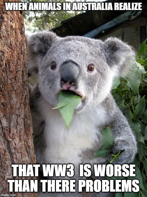 Surprised Koala | WHEN ANIMALS IN AUSTRALIA REALIZE; THAT WW3  IS WORSE THAN THERE PROBLEMS | image tagged in memes,surprised koala | made w/ Imgflip meme maker