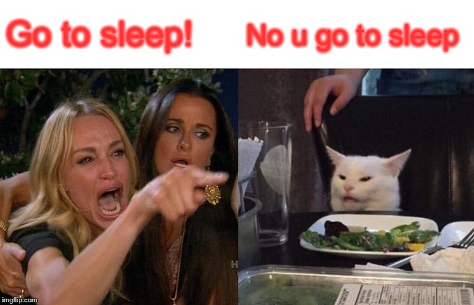 Woman Yelling At Cat Meme | Go to sleep! No u go to sleep | image tagged in memes,woman yelling at cat | made w/ Imgflip meme maker