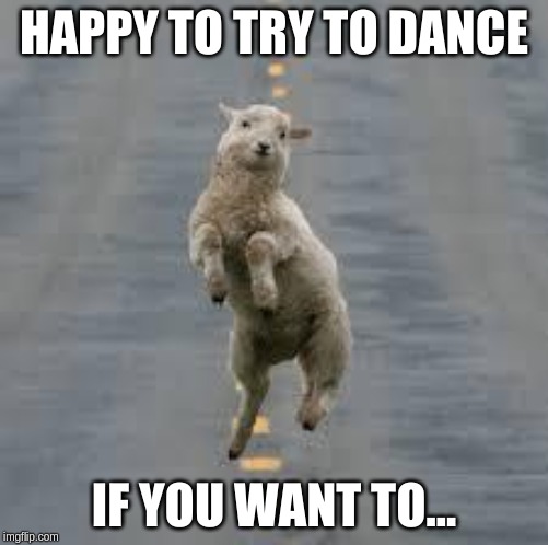 dancing sheep | HAPPY TO TRY TO DANCE; IF YOU WANT TO... | image tagged in dancing sheep | made w/ Imgflip meme maker