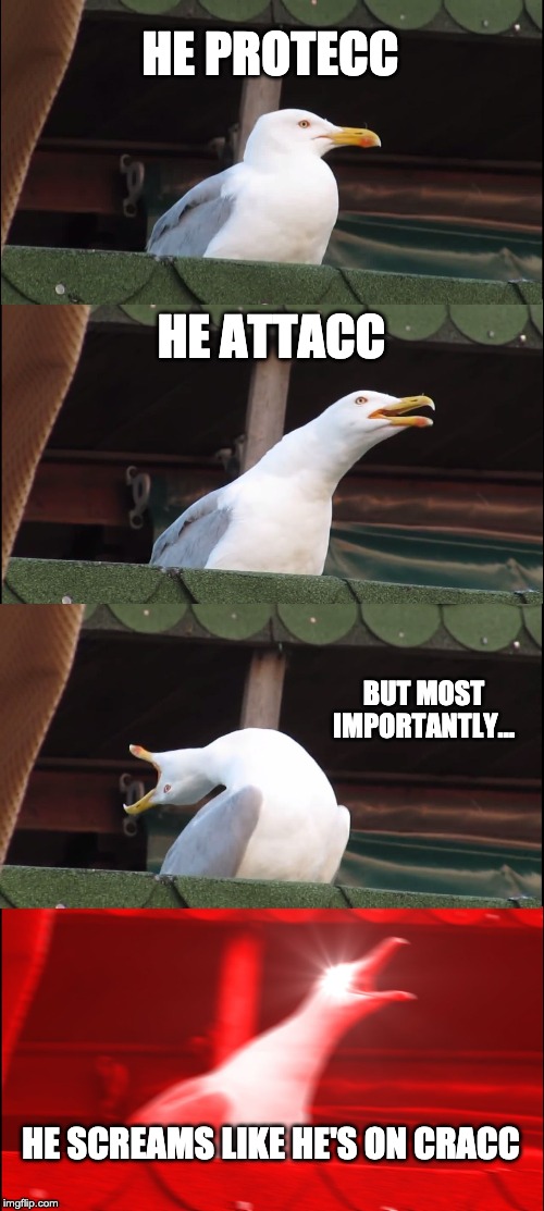 Inhaling Seagull | HE PROTECC; HE ATTACC; BUT MOST IMPORTANTLY... HE SCREAMS LIKE HE'S ON CRACC | image tagged in memes,inhaling seagull | made w/ Imgflip meme maker