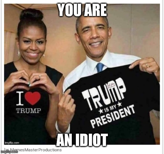 YOU ARE AN IDIOT | made w/ Imgflip meme maker