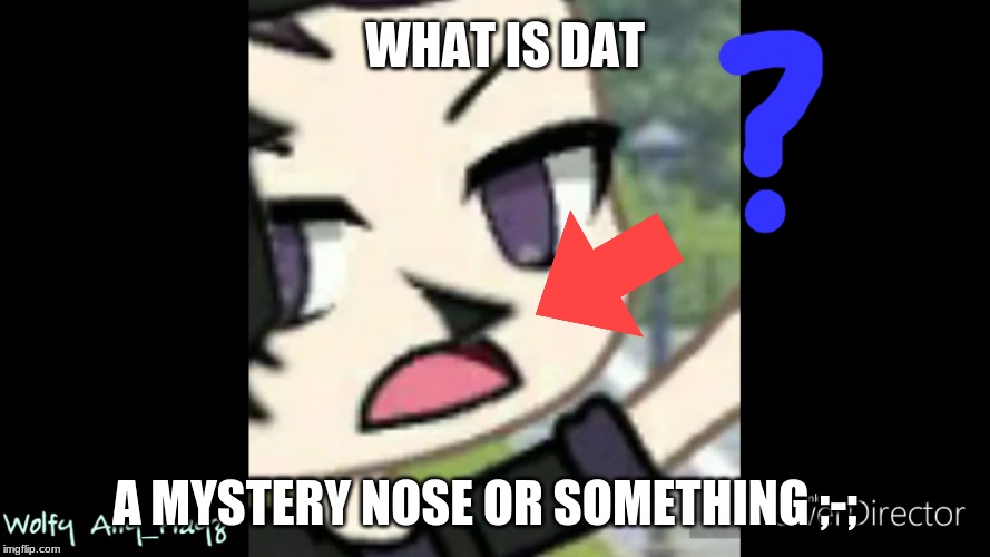 WHAT IS DAT; A MYSTERY NOSE OR SOMETHING ;-; | image tagged in me | made w/ Imgflip meme maker
