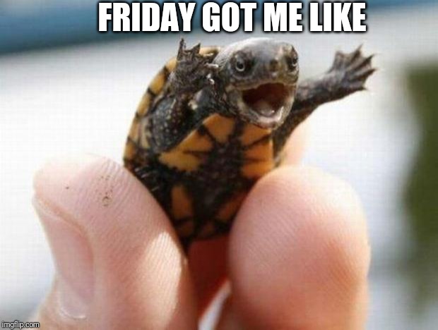 happy baby turtle | FRIDAY GOT ME LIKE | image tagged in happy baby turtle | made w/ Imgflip meme maker
