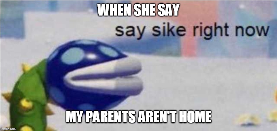 Say sike right now | WHEN SHE SAY; MY PARENTS AREN'T HOME | image tagged in say sike right now | made w/ Imgflip meme maker