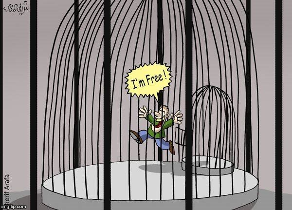 Prison Planet, False Freedom | . | image tagged in prison planet false freedom | made w/ Imgflip meme maker