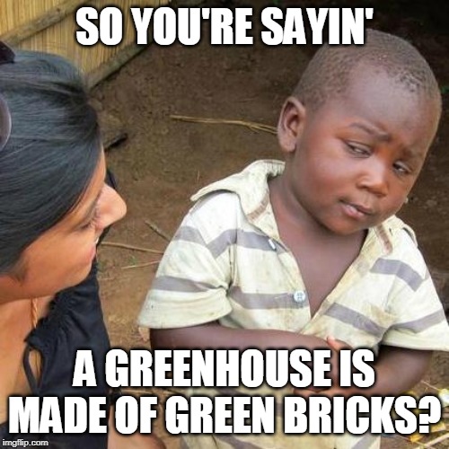 Third World Skeptical Kid | SO YOU'RE SAYIN'; A GREENHOUSE IS MADE OF GREEN BRICKS? | image tagged in memes,third world skeptical kid | made w/ Imgflip meme maker