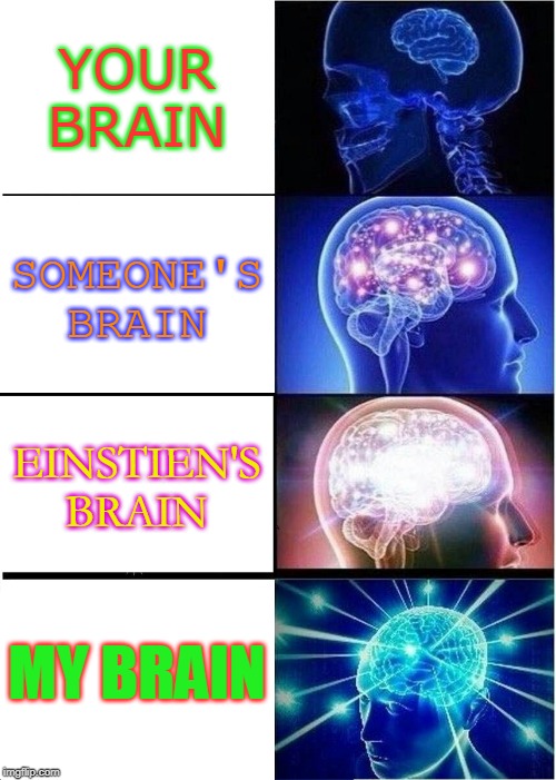 Expanding Brain Meme | YOUR BRAIN; SOMEONE'S BRAIN; EINSTIEN'S BRAIN; MY BRAIN | image tagged in memes,expanding brain | made w/ Imgflip meme maker