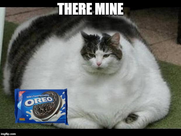 fat cat 2 | THERE MINE | image tagged in fat cat 2 | made w/ Imgflip meme maker