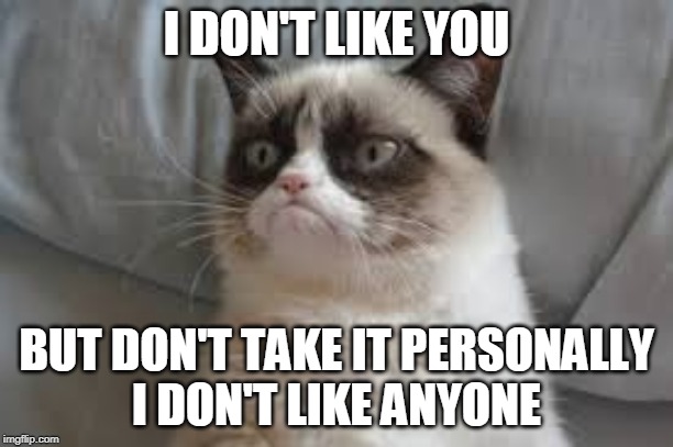 Grumpy cat | I DON'T LIKE YOU; BUT DON'T TAKE IT PERSONALLY
I DON'T LIKE ANYONE | image tagged in grumpy cat | made w/ Imgflip meme maker