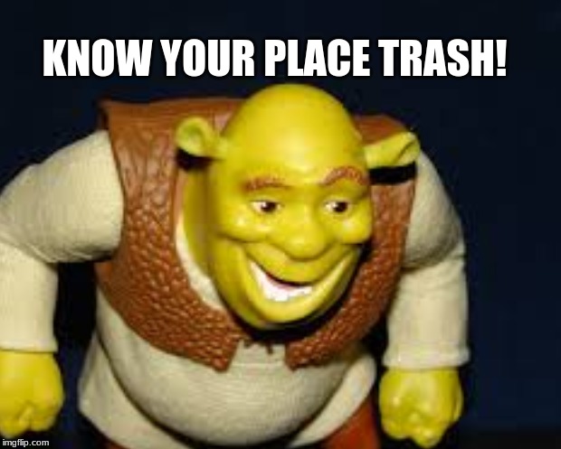 Shronk | KNOW YOUR PLACE TRASH! | image tagged in shrek sexy face | made w/ Imgflip meme maker