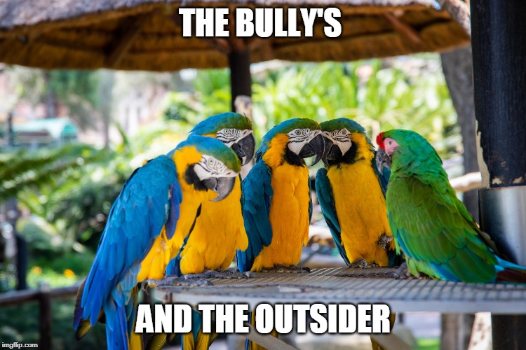 The bully's | THE BULLY'S; AND THE OUTSIDER | image tagged in none | made w/ Imgflip meme maker