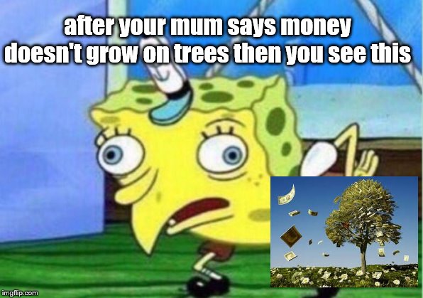 Mocking Spongebob | after your mum says money doesn't grow on trees then you see this | image tagged in memes,mocking spongebob | made w/ Imgflip meme maker