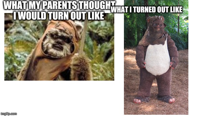 Ewok meme order 69 | WHAT MY PARENTS THOUGHT I WOULD TURN OUT LIKE; WHAT I TURNED OUT LIKE | image tagged in star wars | made w/ Imgflip meme maker