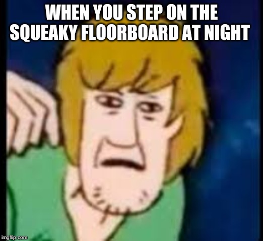 SO true | WHEN YOU STEP ON THE SQUEAKY FLOORBOARD AT NIGHT | image tagged in funny memes | made w/ Imgflip meme maker