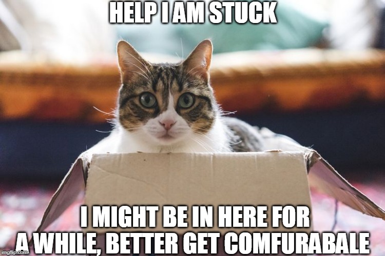 HELP I AM STUCK; I MIGHT BE IN HERE FOR A WHILE, BETTER GET COMFURABALE | image tagged in cat in the hat | made w/ Imgflip meme maker
